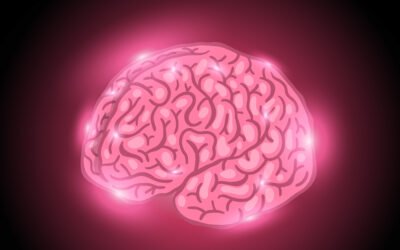Pile Aktív mese  – Az agyintegrációról